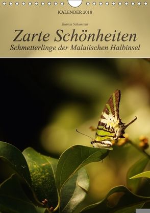 Zarte Schönheiten Schmetterlinge der Malaiischen Halbinsel (Wandkalender 2018 DIN A4 hoch) von Schumann,  Bianca