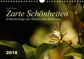 Zarte Schönheiten Schmetterlinge der Malaiischen Halbinsel (Wandkalender 2018 DIN A4 quer) von Schumann,  Bianca