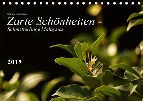 Zarte Schönheiten – Schmetterlinge MalaysiasCH-Version (Tischkalender 2019 DIN A5 quer) von Schumann,  Bianca
