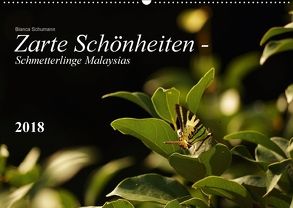 Zarte Schönheiten – Schmetterlinge MalaysiasCH-Version (Wandkalender 2018 DIN A2 quer) von Schumann,  Bianca