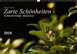 Zarte Schönheiten – Schmetterlinge MalaysiasCH-Version (Wandkalender 2018 DIN A3 quer) von Schumann,  Bianca