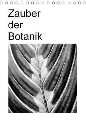 Zauber der Botanik (Tischkalender 2018 DIN A5 hoch) von Küster,  Friederike