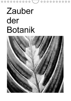 Zauber der Botanik (Wandkalender 2018 DIN A4 hoch) von Küster,  Friederike