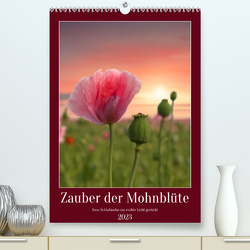 Zauber der Mohnblüte (Premium, hochwertiger DIN A2 Wandkalender 2023, Kunstdruck in Hochglanz) von Löwer,  Sabine