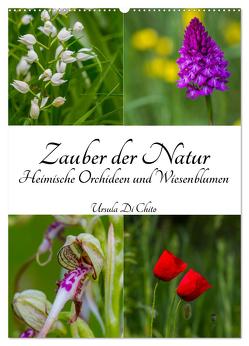 Zauber der Natur – Heimische Orchideen und Wiesenblumen (Wandkalender 2024 DIN A2 hoch), CALVENDO Monatskalender von Di Chito,  Ursula