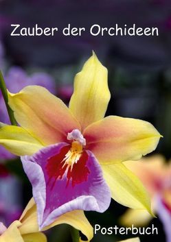 Zauber der Orchideen (Posterbuch DIN A2 hoch) von Rix,  Veronika