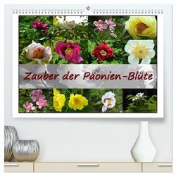 Zauber der Päonien-Blüte (hochwertiger Premium Wandkalender 2024 DIN A2 quer), Kunstdruck in Hochglanz von Reiter,  Monika