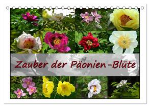 Zauber der Päonien-Blüte (Tischkalender 2024 DIN A5 quer), CALVENDO Monatskalender von Reiter,  Monika