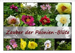 Zauber der Päonien-Blüte (Wandkalender 2023 DIN A3 quer) von Reiter,  Monika