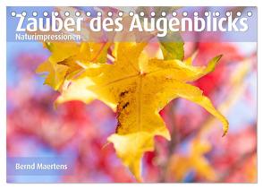 ZAUBER DES AUGENBLICKS Naturimpressionen (Tischkalender 2024 DIN A5 quer), CALVENDO Monatskalender von Maertens,  Bernd