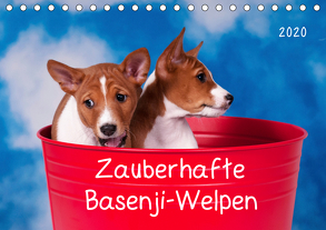 Zauberhafte Basenji-Welpen (Tischkalender 2020 DIN A5 quer) von Joswig,  Angelika