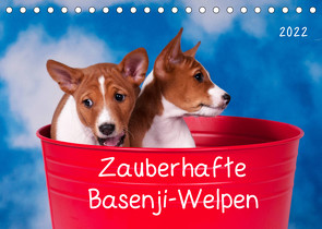 Zauberhafte Basenji-Welpen (Tischkalender 2022 DIN A5 quer) von Joswig,  Angelika