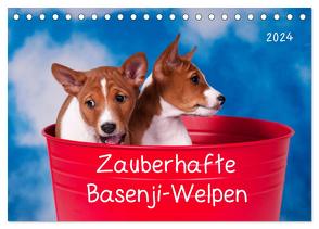 Zauberhafte Basenji-Welpen (Tischkalender 2024 DIN A5 quer), CALVENDO Monatskalender von Joswig,  Angelika