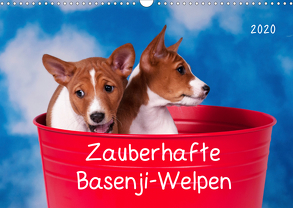 Zauberhafte Basenji-Welpen (Wandkalender 2020 DIN A3 quer) von Joswig,  Angelika