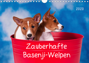 Zauberhafte Basenji-Welpen (Wandkalender 2020 DIN A4 quer) von Joswig,  Angelika