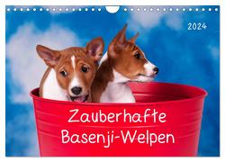 Zauberhafte Basenji-Welpen (Wandkalender 2024 DIN A4 quer), CALVENDO Monatskalender von Joswig,  Angelika
