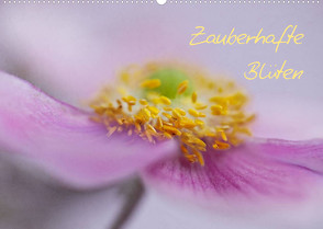 Zauberhafte Blüten (Wandkalender 2022 DIN A2 quer) von Buch,  Monika