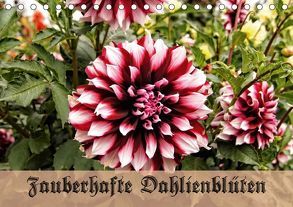 Zauberhafte Dahlienblüten (Tischkalender 2018 DIN A5 quer) von Schneller,  Helmut