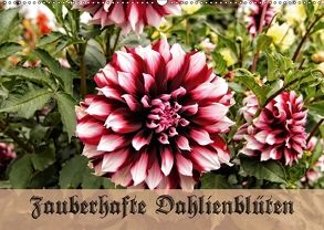 Zauberhafte Dahlienblüten (Wandkalender 2018 DIN A2 quer) von Schneller,  Helmut