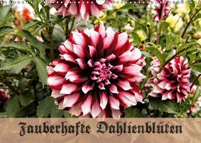 Zauberhafte Dahlienblüten (Wandkalender 2019 DIN A3 quer) von Schneller,  Helmut