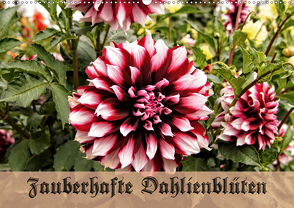 Zauberhafte Dahlienblüten (Wandkalender 2020 DIN A2 quer) von Schneller,  Helmut
