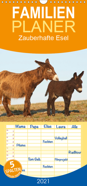 Zauberhafte Esel – Familienplaner hoch (Wandkalender 2021 , 21 cm x 45 cm, hoch) von Bölts,  Meike