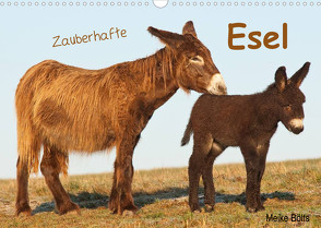 Zauberhafte Esel (Wandkalender 2023 DIN A3 quer) von Bölts,  Meike