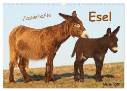 Zauberhafte Esel (Wandkalender 2024 DIN A3 quer), CALVENDO Monatskalender von Bölts,  Meike