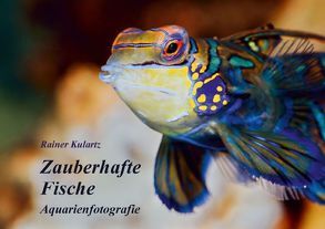 Zauberhafte Fische – Aquarienfotografie (Tischaufsteller DIN A5 quer) von Kulartz,  Rainer