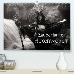 Zauberhafte Hexenwesen (Premium, hochwertiger DIN A2 Wandkalender 2023, Kunstdruck in Hochglanz) von Frank,  Johann