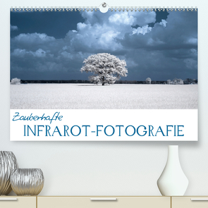 Zauberhafte Infrarot-Fotografie (Premium, hochwertiger DIN A2 Wandkalender 2021, Kunstdruck in Hochglanz) von Langenkamp,  Heike