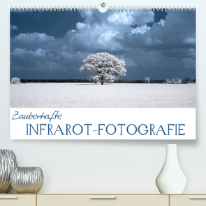 Zauberhafte Infrarot-Fotografie (Premium, hochwertiger DIN A2 Wandkalender 2022, Kunstdruck in Hochglanz) von Langenkamp,  Heike