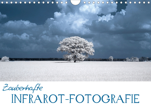 Zauberhafte Infrarot-Fotografie (Wandkalender 2021 DIN A4 quer) von Langenkamp,  Heike