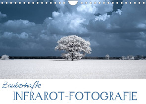 Zauberhafte Infrarot-Fotografie (Wandkalender 2022 DIN A4 quer) von Langenkamp,  Heike