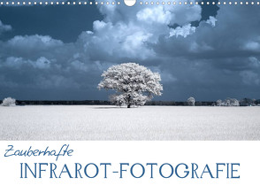 Zauberhafte Infrarot-Fotografie (Wandkalender 2023 DIN A3 quer) von Langenkamp,  Heike