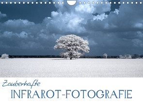 Zauberhafte Infrarot-Fotografie (Wandkalender 2023 DIN A4 quer) von Langenkamp,  Heike