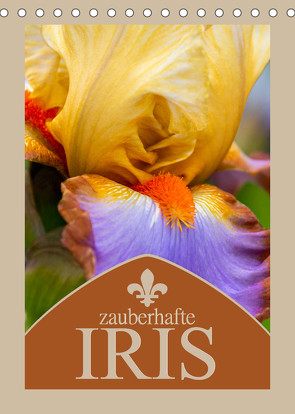 Zauberhafte Iris (Tischkalender 2023 DIN A5 hoch) von Gierok,  Steffen