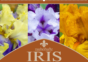 Zauberhafte Iris (Wandkalender 2022 DIN A2 quer) von Gierok,  Steffen