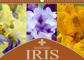Zauberhafte Iris (Wandkalender 2022 DIN A3 quer) von Gierok,  Steffen