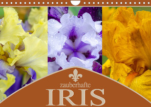 Zauberhafte Iris (Wandkalender 2022 DIN A4 quer) von Gierok,  Steffen
