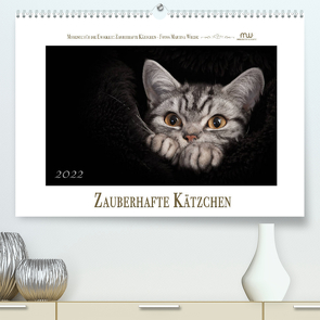 Zauberhafte Kätzchen (Premium, hochwertiger DIN A2 Wandkalender 2022, Kunstdruck in Hochglanz) von Wrede,  Martina