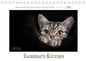 Zauberhafte Kätzchen (Tischkalender 2023 DIN A5 quer) von Wrede,  Martina