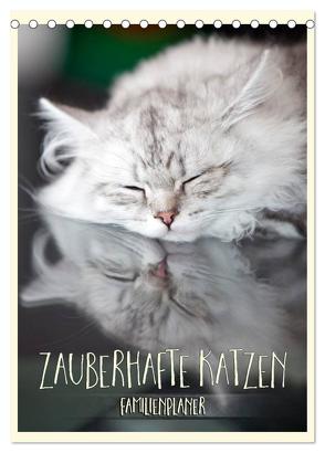 Zauberhafte Katzen – Familienplaner (Tischkalender 2024 DIN A5 hoch), CALVENDO Monatskalender von Viola,  Melanie