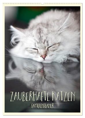 Zauberhafte Katzen – Familienplaner (Wandkalender 2024 DIN A2 hoch), CALVENDO Monatskalender von Viola,  Melanie