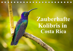 Zauberhafte Kolibris in Costa Rica (Tischkalender 2023 DIN A5 quer) von Rusch,  Winfried