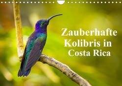 Zauberhafte Kolibris in Costa Rica (Wandkalender 2023 DIN A4 quer) von Rusch,  Winfried