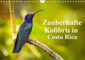 Zauberhafte Kolibris in Costa Rica (Wandkalender 2023 DIN A4 quer) von Rusch,  Winfried