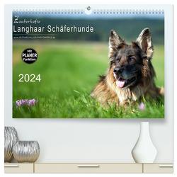 Zauberhafte Langhaar Schäferhunde (hochwertiger Premium Wandkalender 2024 DIN A2 quer), Kunstdruck in Hochglanz von Schiller,  Petra