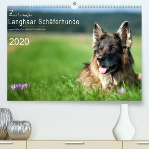 Zauberhafte Langhaar Schäferhunde (Premium, hochwertiger DIN A2 Wandkalender 2020, Kunstdruck in Hochglanz) von Schiller,  Petra