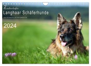 Zauberhafte Langhaar Schäferhunde (Wandkalender 2024 DIN A4 quer), CALVENDO Monatskalender von Schiller,  Petra